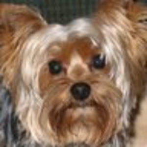 Meet your Posher, Darren